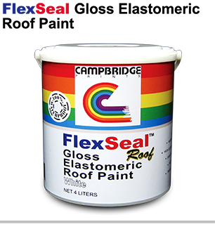 Flexseal roof